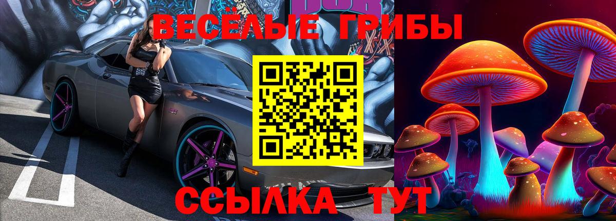 Галлюциногенные грибы GOLDEN TEACHER  Вход с VPN  Жигулёвск  Галлюциногенные грибы Psilocybe 