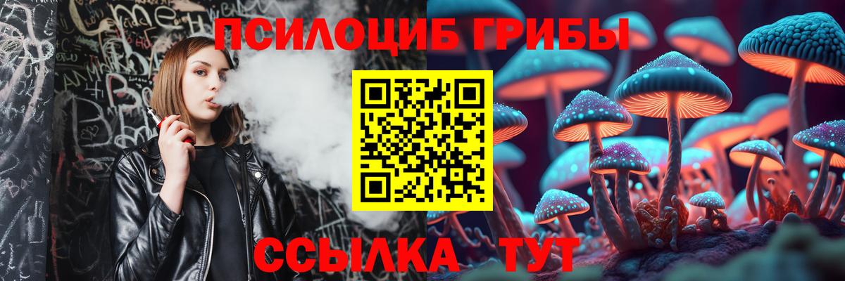 Галлюциногенные грибы Psilocybe Жигулёвск